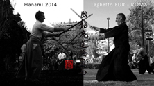 Hanami 2014 - Laghetto dell'EUR Roma